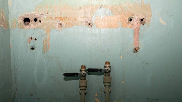 Best Flood restoration services  in Hartford, KY