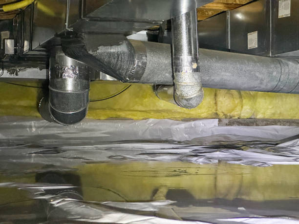 Best Flood damage cleanup  in Hartford, KY